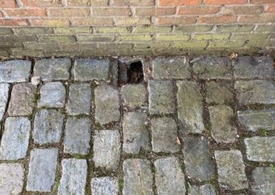 Elektricien EWLS Emblem Ranst Steven Weyers