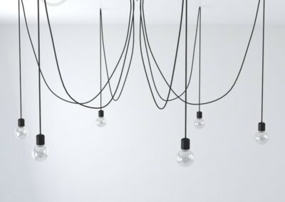 Verlichting EWLS Emblem Ranst Weyers Steven